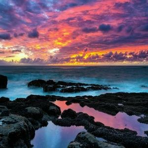 Meet your Posher, Hayden